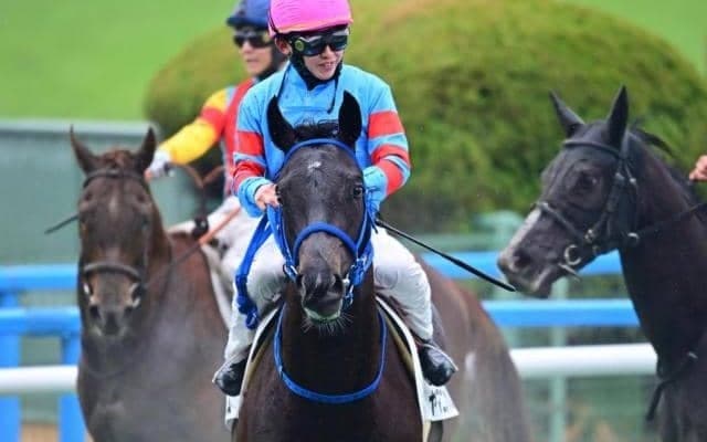 【AI予想・函館記念】前走人気薄の取捨が的中の鍵!? 混戦ムードの一戦で人工知能が推す本命候補3頭とは