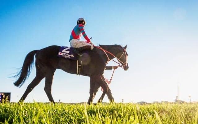 コントレイル産駒がセレクトセールに初登場 ダービー馬の半弟など良血馬ズラリ