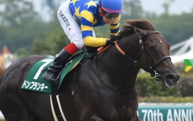 馬体重600kgに迫る巨漢 ダイワメジャー産駒から数少ないダート重賞覇者誕生