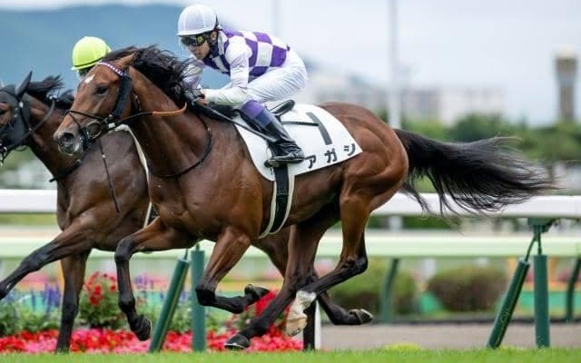 【函館2歳S展望】2歳世代最初のJRA重賞、前走4角4番手以下の馬は割り引き