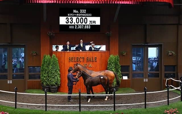 藤田晋氏きょう1頭目の購入は3億3000万円 ピクシーナイトの弟ピクシーホロウの2023