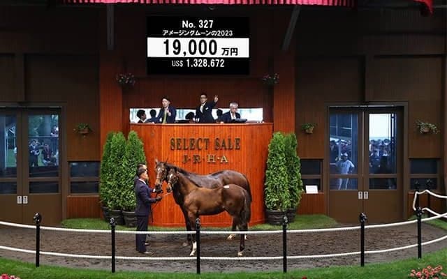 半兄にノースブリッジやタッチウッドがいるキタサン産駒 1億9000万円で落札