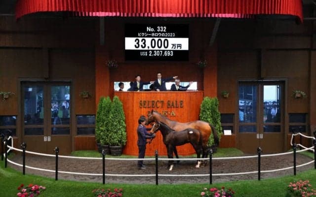 【セレクトセール2023】ウマ娘・藤田晋氏が3.3億で落札！ピクシーナイト半弟