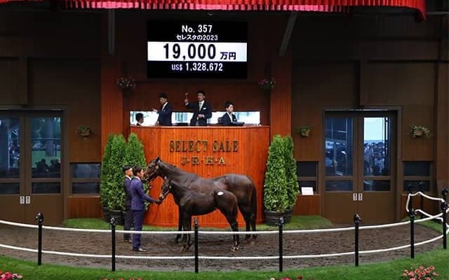 半姉にヴァレーデラルナら セレスタの2023は1億9000万円