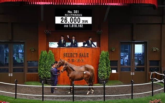 ジャスティンカフェの半弟 カジノブギの2023は2億6000万円