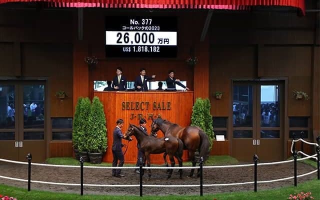 きょうだいに続き3年連続の2億超え！ コールバックの2023を2.6億円で金子真人ホールディングス(株)が落札