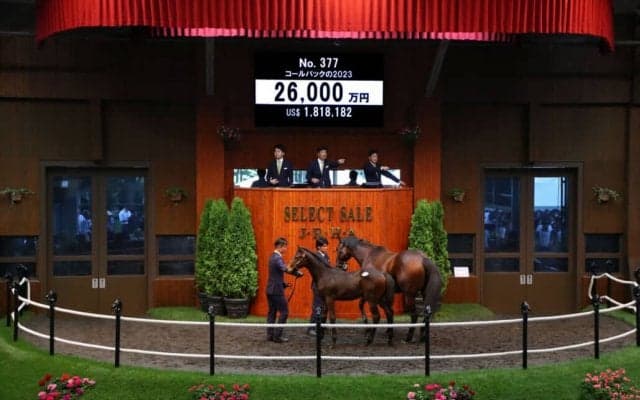 【セレクトセール2023】エピファネイア産駒が2億6000万円で落札