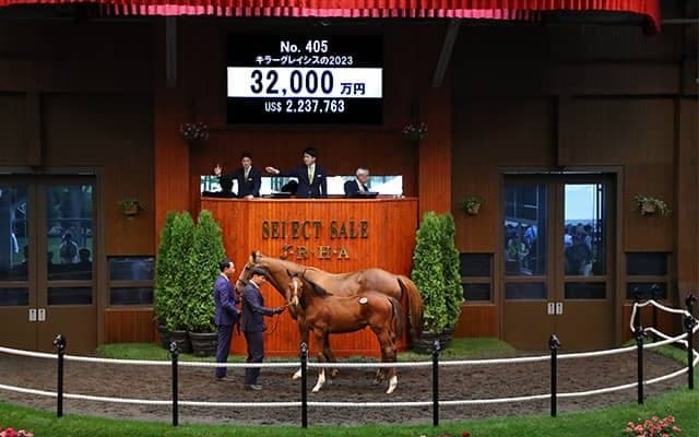 キタサンブラック×米G1馬の仔が3億2000万円で落札 GI馬キラーアビリティの半弟