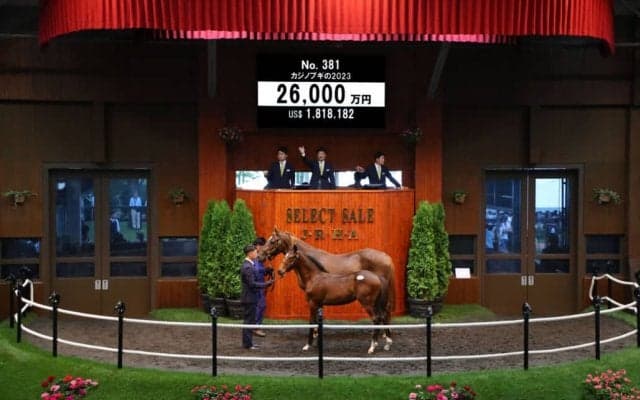 【セレクトセール2023】ジャスティンカフェ全弟、当歳が2.6億円落札