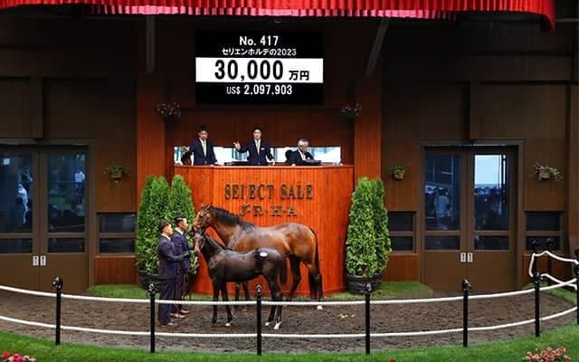 シュネルマイスター半弟が3億円で落札 サリオスらと同一族でリザーブ価格1億円