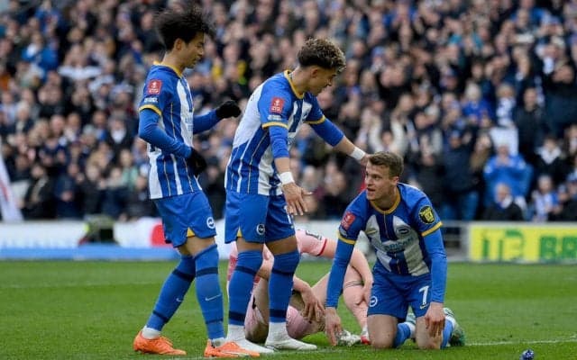 三笘薫の名前がペンギンに!? ブライトン地元動物園に引っ越しのペンギン10羽、愛称に選手名を採用「スタメンを決める気分でした」