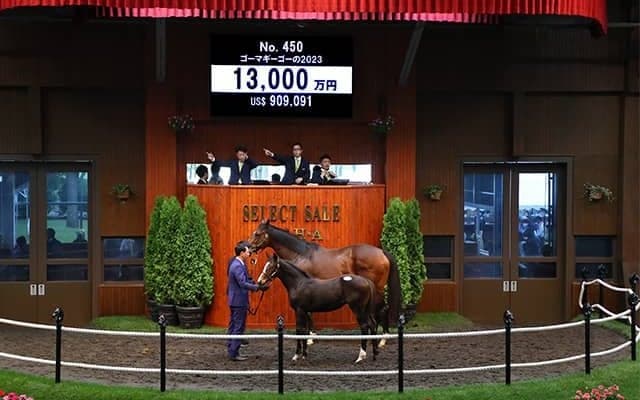 サイバー藤田晋氏が1.3億でエピファネイア産駒を落札 半兄は3億円馬オープンファイア