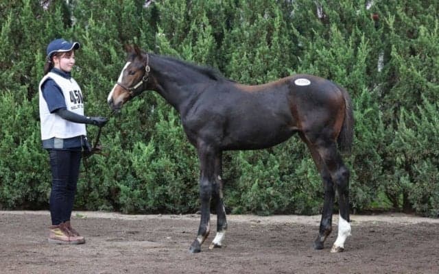 【セレクトセール2023】藤田晋氏、エピファネイア牝を1.3億円で落札