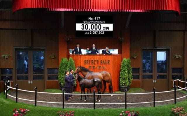 【セレクトセール2023】シュネルマイスター半弟、3億円で落札
