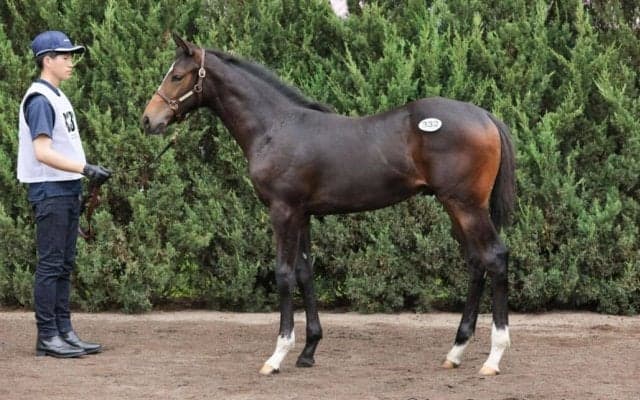 【セレクトセール2023】総額23億円超！ウマ娘・藤田晋氏が今年も爆買い