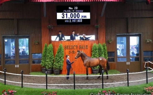 【セレクトセール2023】“札束の殴り合い”総落札額はレコード更新の281億超　「福永祐一厩舎」確定のコントレイル産駒・当歳に5億2000万円