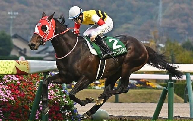 【函館記念展望】波乱前提のハンデ戦、過去10回で4角3番手以内の馬が8勝