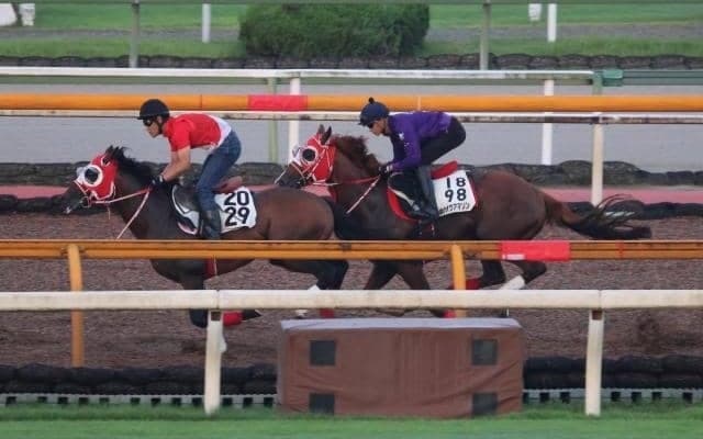 ホウオウアマゾン、中京記念1週前追い切り速報/栗東トレセンニュース