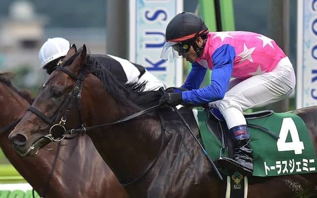 21年七夕賞覇者のトーラスジェミニが登録抹消 今後は馬事公苑で乗馬に