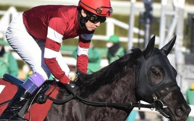 武豊騎手が藤田晋オーナー所有馬で函館記念参戦 10年ぶりの制覇なるか