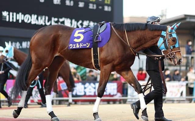 21年関東オークスを武豊騎手とともに制覇 ウェルドーンが引退し繁殖入り