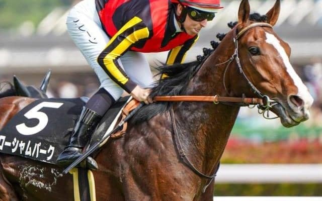 ルメール騎手が函館記念初Vへ ハービンジャー産駒の良血と4戦ぶりタッグ