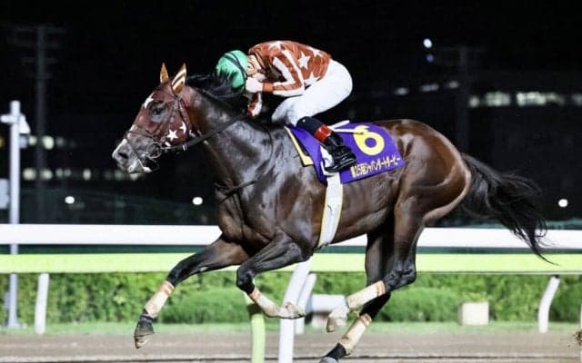 【JDD】御神本「馬の気持ちが強かった」レース後ジョッキーコメント…ミックファイアが無敗の三冠達成