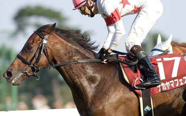 ナカヤマフェスタが種牡馬引退 今後は功労馬として過ごす