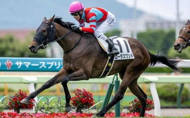 【函館2歳S枠順確定】バスターコールは4枠6番、スカイキャンバスは1枠1番