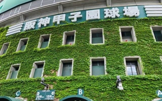 【甲子園には青春がある】甲子園の魅力にキュン…観戦理由や魅力を解説│今年はどれくらいの人が見るの？