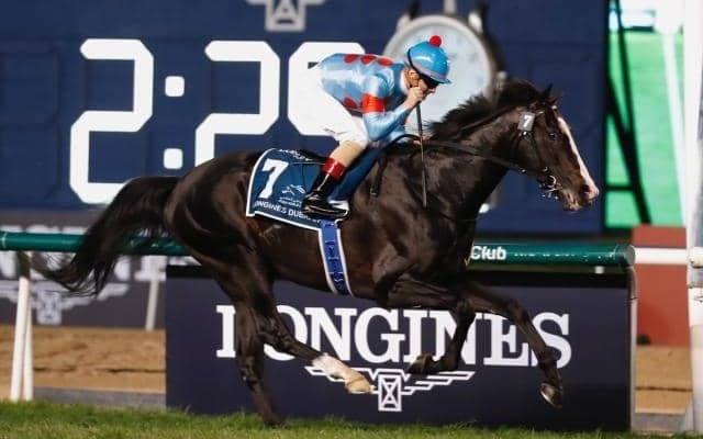 2023年上半期JPNサラブレッドランキング発表 イクイノックスが全体トップ