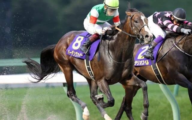 【マーキュリーC枠順】連覇がかかるバーデンヴァイラーは5枠7番、キタサンブラック産駒のウィルソンテソーロは6枠9番