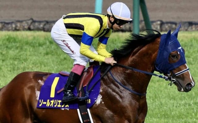 上半期JPNサラブレッドランキング、ソールオリエンス、リバティアイランドが並んで3歳トップ