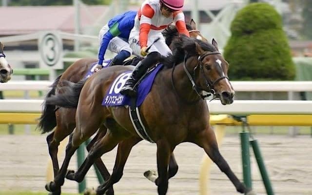 【中京記念想定馬・騎手】ダノンスコーピオン、メイショウシンタケなど18頭