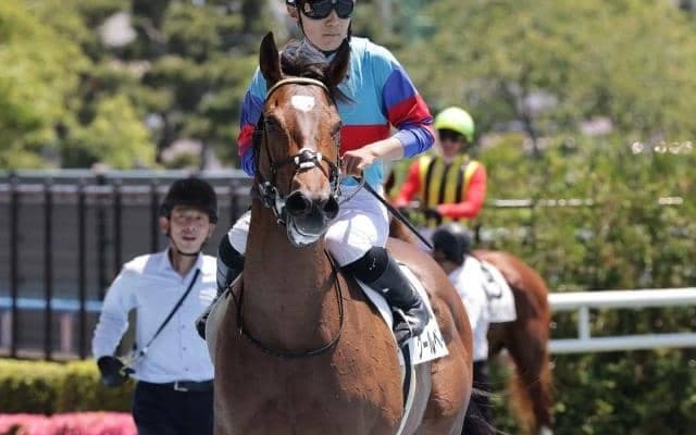 【今日の注目ポイント】世代最初のJRA重賞・函館2歳S