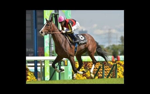 函館記念は今年も波乱があるか 注目はコース相性がいいハービンジャー、ジャスタウェイ産駒