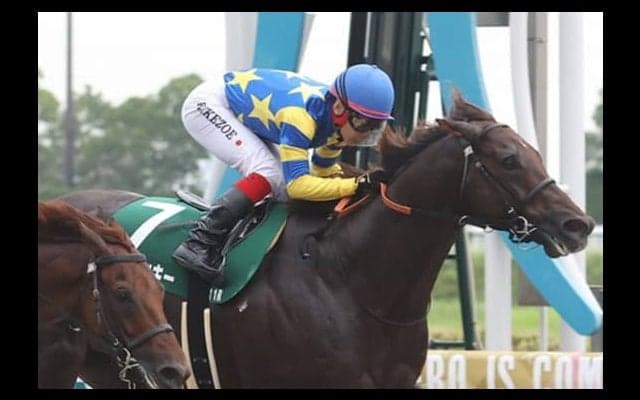 【プロキオンS】池添謙「凌いでくれと思いながら追った」ドンフランキーが重賞初制覇