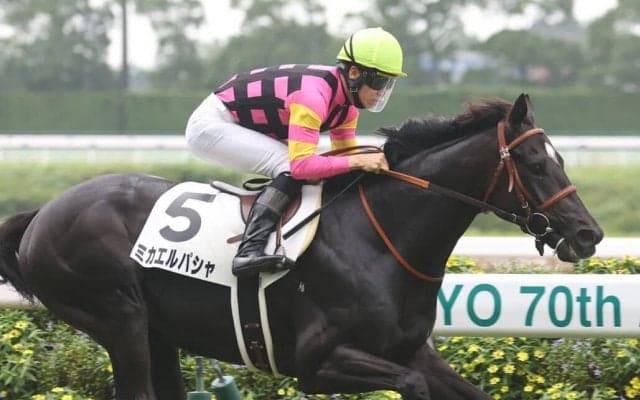 【新馬/中京5R】ミカエルパシャがデビューV…2億円ホース、ラケダイモーンは2着