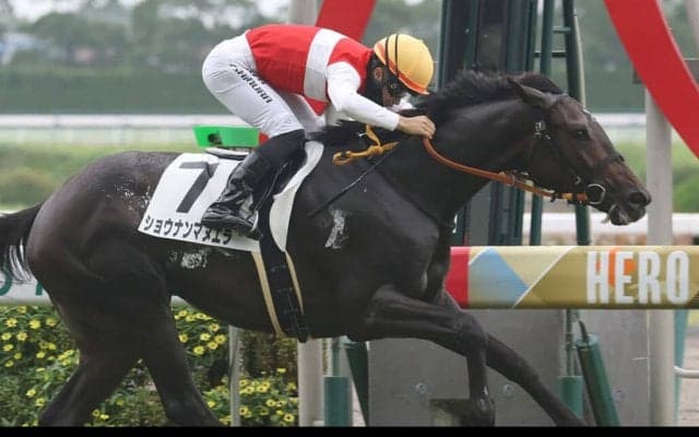 【新馬/中京6R】ジャスタウェイ産駒 ショウナンマヌエラがデビューV