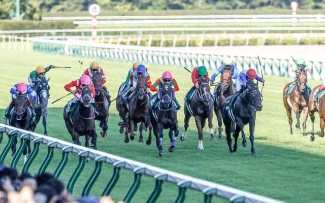 千直競馬を騎手目線で… アイビスSDでもジョッキーカメラの実施決定