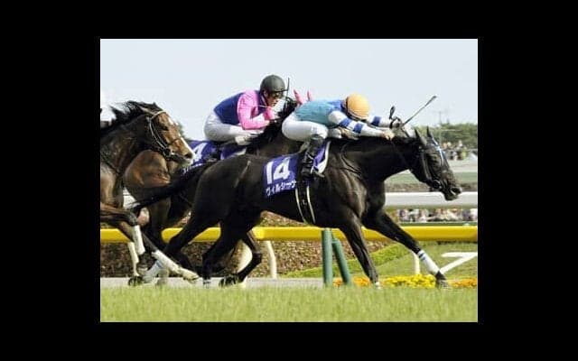 姉ヴィルシーナはヴィクトリアマイル連覇達成　注目の血統馬エヴァンスウィート