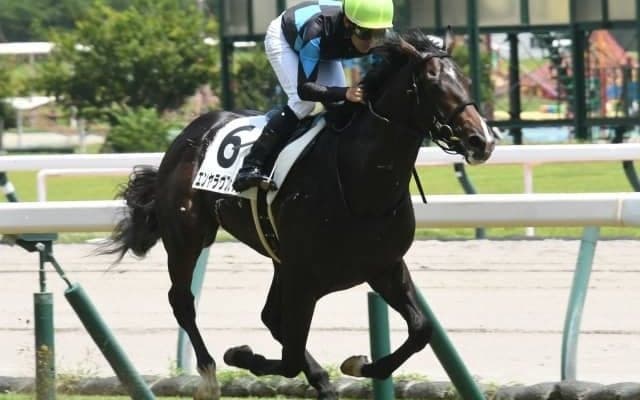 【中京5R新馬戦結果】1番人気のエンヤラヴフェイスが5馬身差の圧勝！