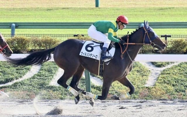 【マーキュリーC】ウィルソンテソーロは6枠9番