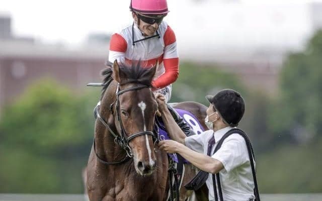 サマーマイルシリーズ第二弾・中京記念/今週の競馬界の見どころ