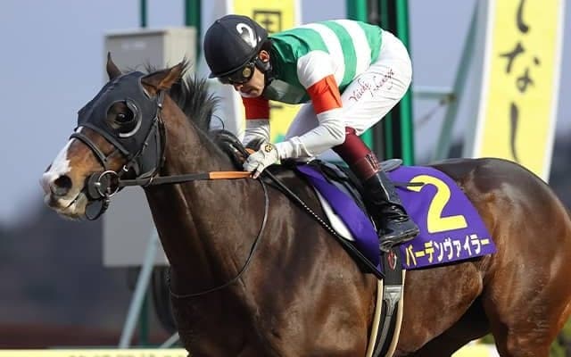 【マーキュリーC注目馬】岩手の夏の名物重賞 バーデンヴァイラーが連覇に挑む