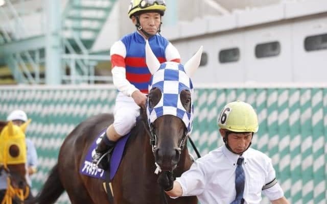 【浦和・プラチナC枠順】浦和16勝のアマネラクーンは2枠2番、10歳の古豪ベストマッチョは4枠4番