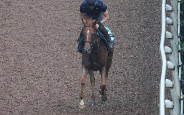 きょうだいにGI馬が3頭いるエヴァンスウィート/関西馬メイクデビュー情報