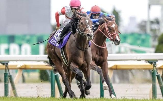 【AI予想・中京記念】4年ぶりに中京が舞台となる中京記念！ 前走での「経験」が好走するための重要な鍵となる