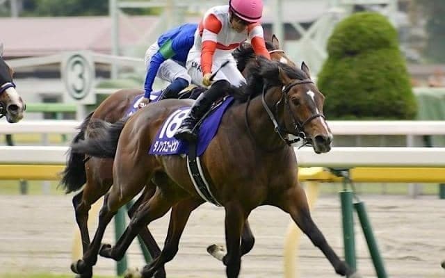 【中京記念想定騎手】ダノンスコーピオンは横山和生騎手、ルージュスティリアは川田将雅騎手