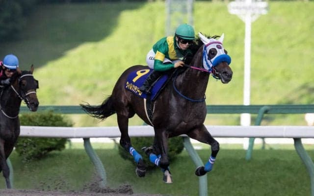 【盛岡・マーキュリーカップ】川田将雅騎乗、ウィルソンテソーロが交流重賞を連勝
